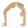 Pilates from scratch